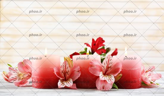 عکس زیبای گل با شمع های روشن