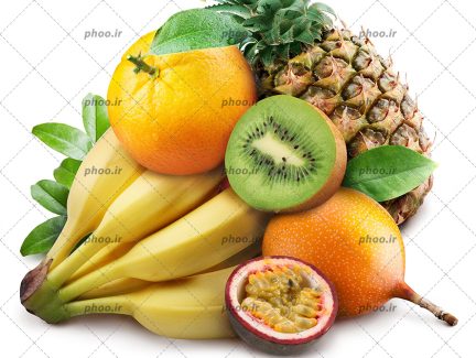 عکس میوه های تازه در کنار هم در پس زمینه سفید