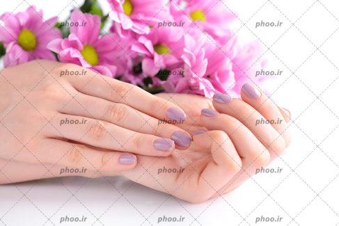 عکس مانیکور صورتی روی ناخن های زن در کنار گل های صورتی