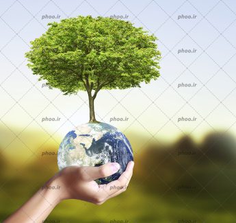 عکس یک کره زمین در دست زن و درخت سبز رشت کرده روی آن