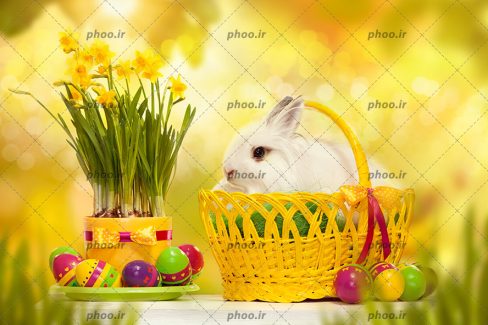 عکس خرگوش سفید داخل سبد زرد و تخم مرغ های تزئین شده