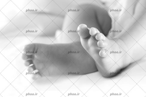 عکس با کیفیت و سیاه و سفید پاهای کوچک نوزاد از نمای نزدیک