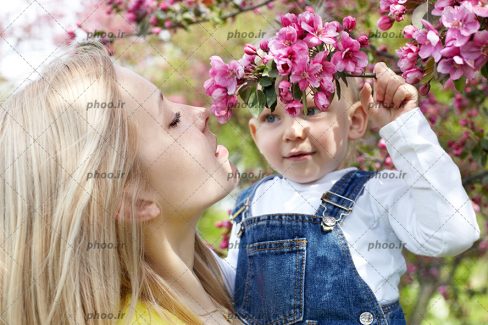 عکس با کیفیت پسر بچه در آغوش مادر در کنار یک درخت با شکوفه های صورتی