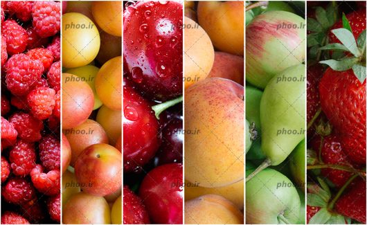 عکس ردیف هایی از میوه های رنگی در کنار هم
