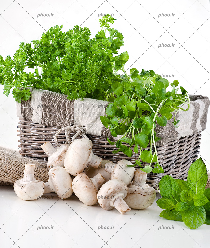 عکس قارچ های خوراکی روی زمین و سبزی های تازه داخل سبد در پس زمینه سفید