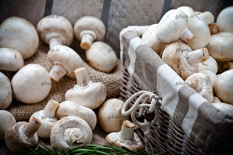 عکس قارچ های خوراکی تازه در سبد و روی زمین