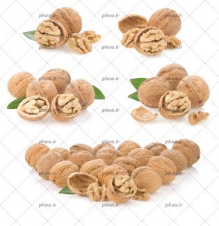 عکس با کیفیت از گردو های شکسته و سالم در پس زمینه سفید