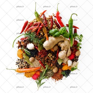 عکس با کیفیت گیاهان و ادویه هایی در پس زمینه سفید