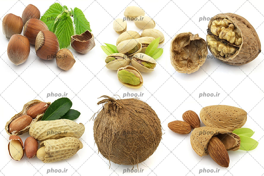 عکس با کیفیت مجموعه ای از آجیل ها در پس زمینه سفید