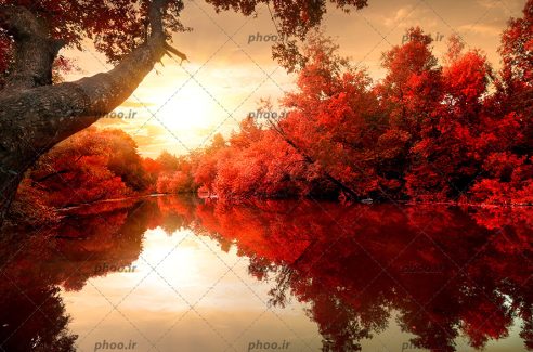 عکس طبیعت زیبا درختان پاییزی کنار رودخانه و دریاچه