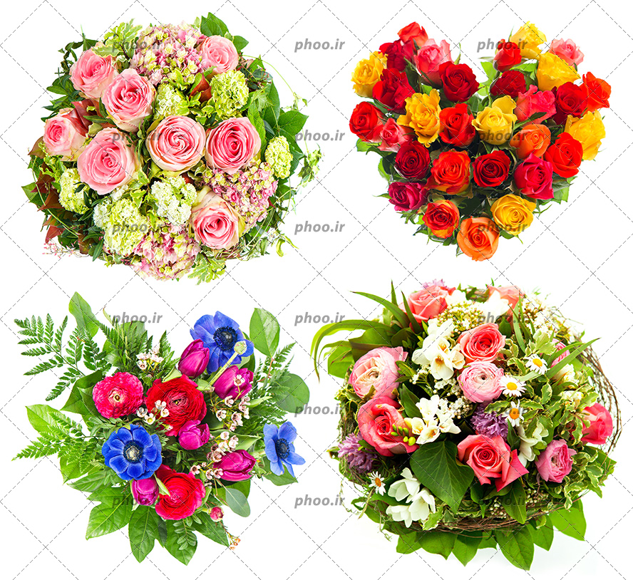 عکس مجموعه ای از دسته گل های زیبا با گل های رنگی در پس زمینه سفید