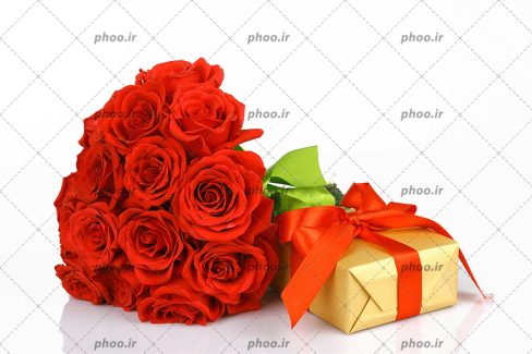 عکس دسته گل با گل های قرمز و یک هدیه که با روبان قرمز بسته شده است در پس زمینه سفید