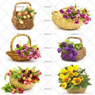 عکس مجموعه ای از سبد های گل با گل های متفاوت در پس زمینه سفید