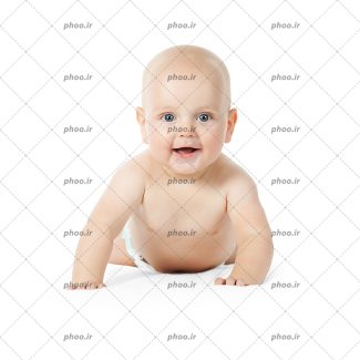 عکس با کیفیت نی نی کوچولوی ناز در حال چهار دست و پا رفتن در پس زمینه سفید