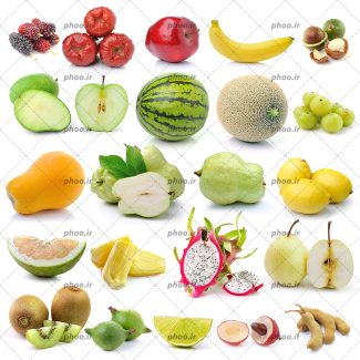 عکس مجموعه ای از میوه های رنگی مختلف در پس زمینه سفید