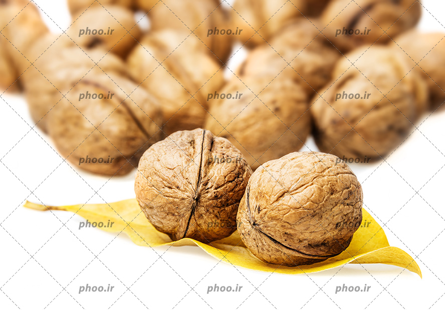 عکس گردو ها و برگ زرد در پس زمینه سفید