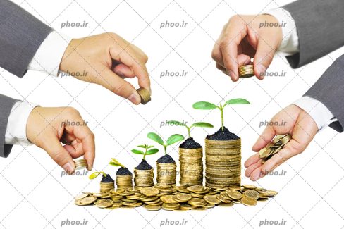 عکس سکه ها روی هم و دست ها درحال پرورش آنها