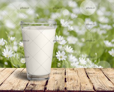 عکس لیوان شیر روی میز چوبی در پس زمینه گل های سفید