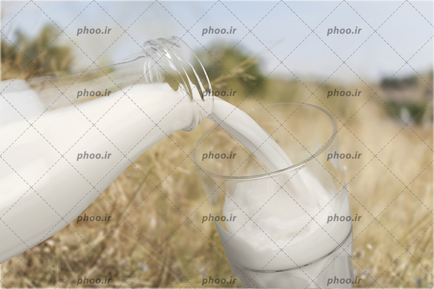عکس ریختن شیر از بطری شیشه ای در لیوان