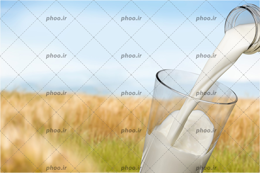 عکس ریختن شیر از بطری شیشه ای در لیوان در پس زمینه طبیعت و آسمان آبی