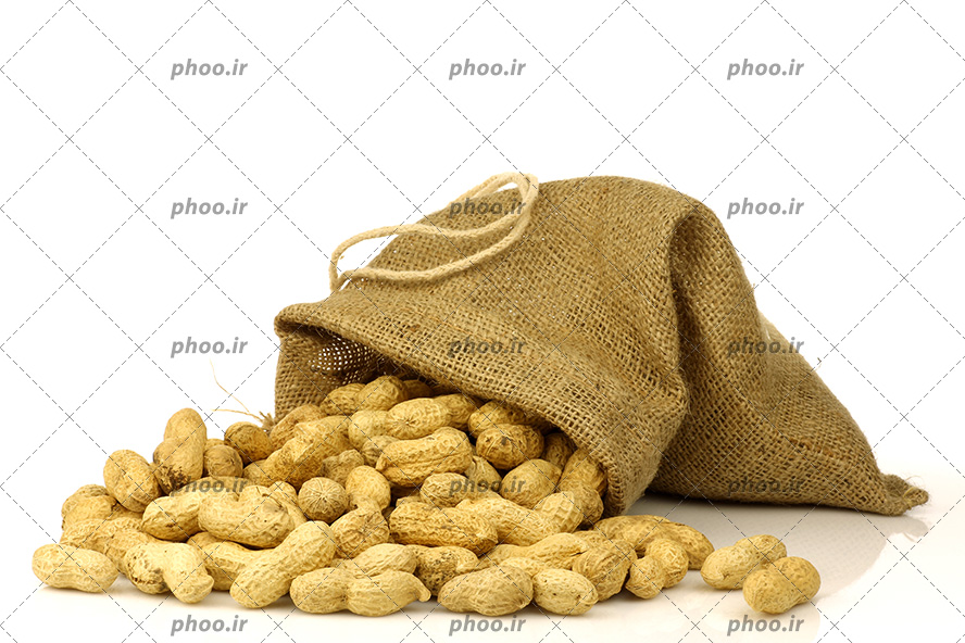 عکس با کیفیت بادام زمینی هایی داخل گونی و روی زمین در پس زمینه سفید
