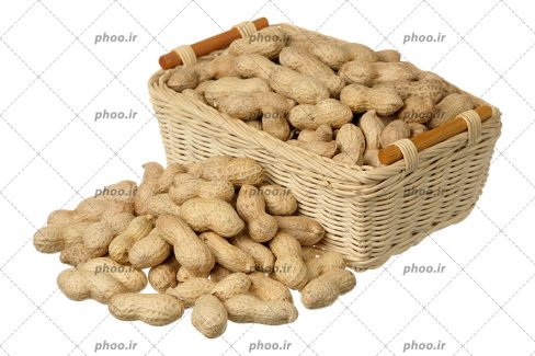 عکس با کیفیت بادام زمینی هایی داخل سبد و روی زمین در پس زمینه سفید
