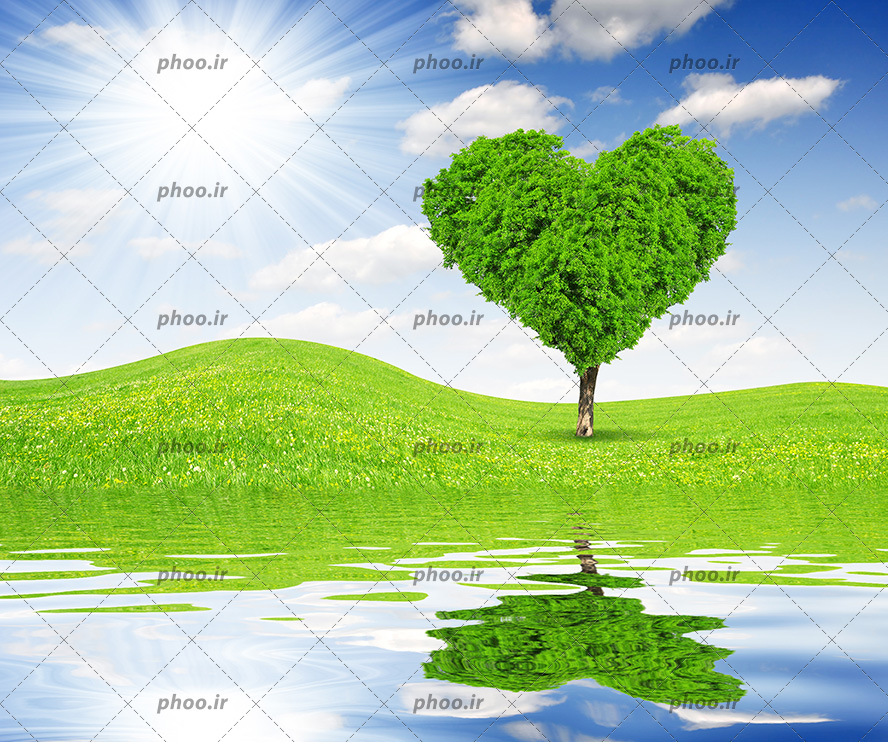 عکس با کیفیت درخت زیبای شکل قلب با برگ های سبز بهاری