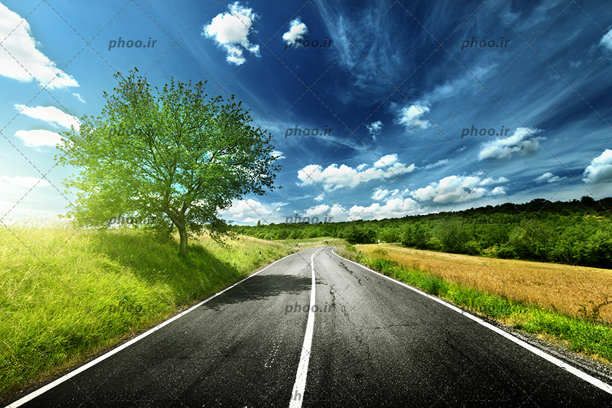 عکس با کیفیت جاده ای در دشت و یک درخت سبز در مقابل آسمان آبی