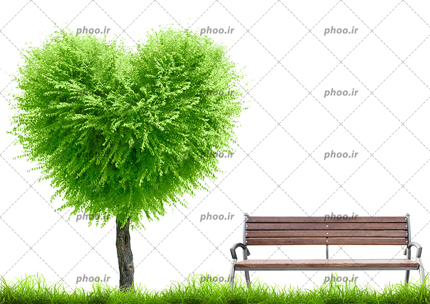 عکس با کیفیت درخت زیبای شکل قلب با برگ های سبز بهاری