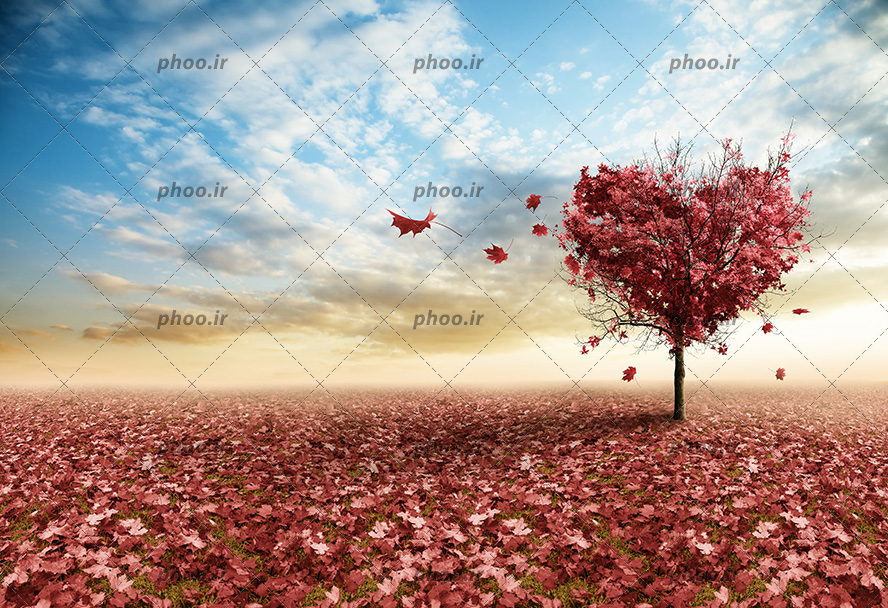عکس با کیفیت درخت زیبای شکل قلب با برگ های پاییزی