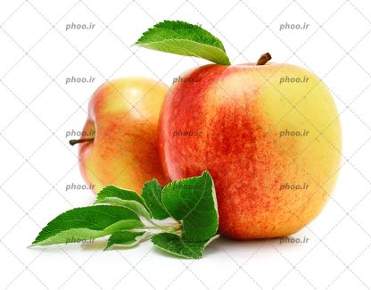 عکس زیبا سیب دو رنگ خوشمزه با برگ